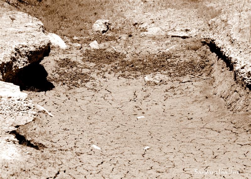 DSC_0073ces (Medium)