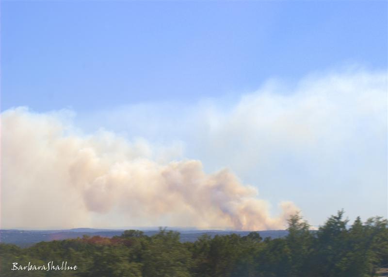 DSC_0327.NEFs (Medium)