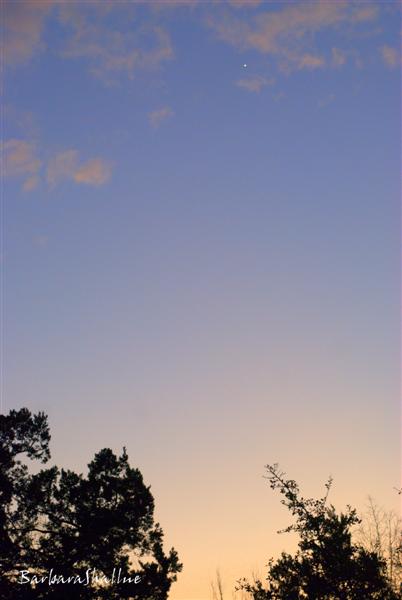 DSC_0848.NEFs (Medium)