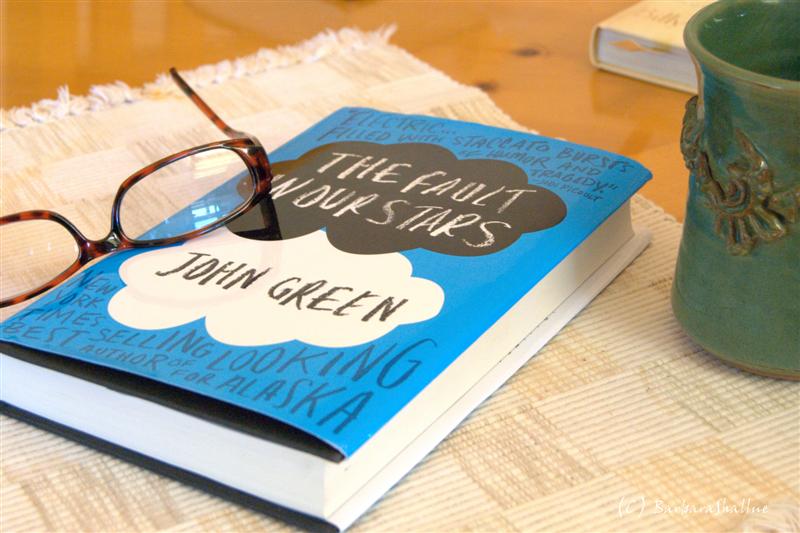 DSC_0083.NEFs (Medium)