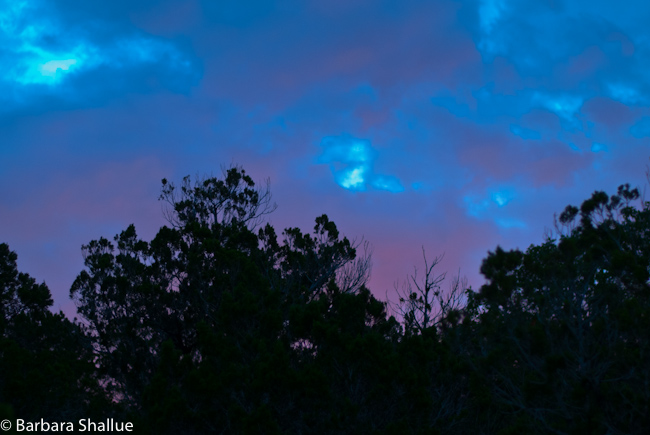 Sunrise August 2012-0261