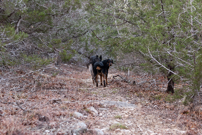 Jan 13 max and belle-0031