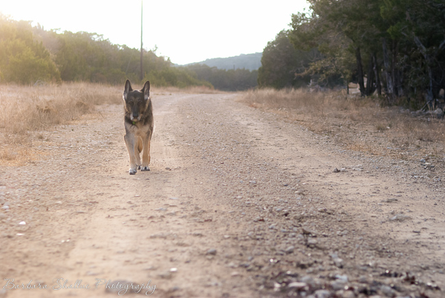 Jan 19 13 max-0002-2