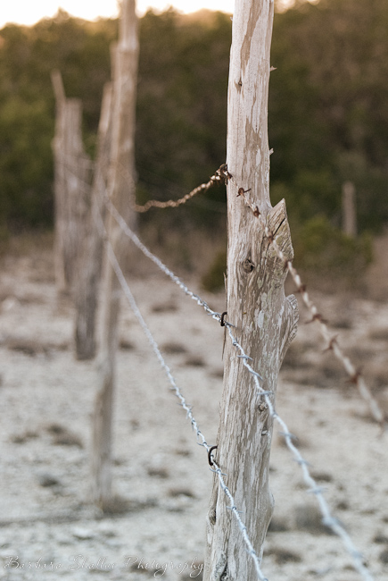 Resize jan 16 13 -0008