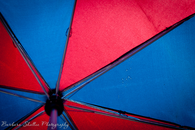 Umbrella jan 11 13-0032-2