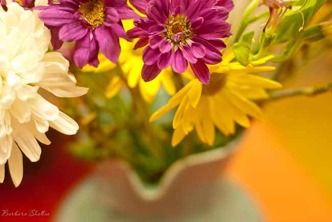 From mom may 13-0281