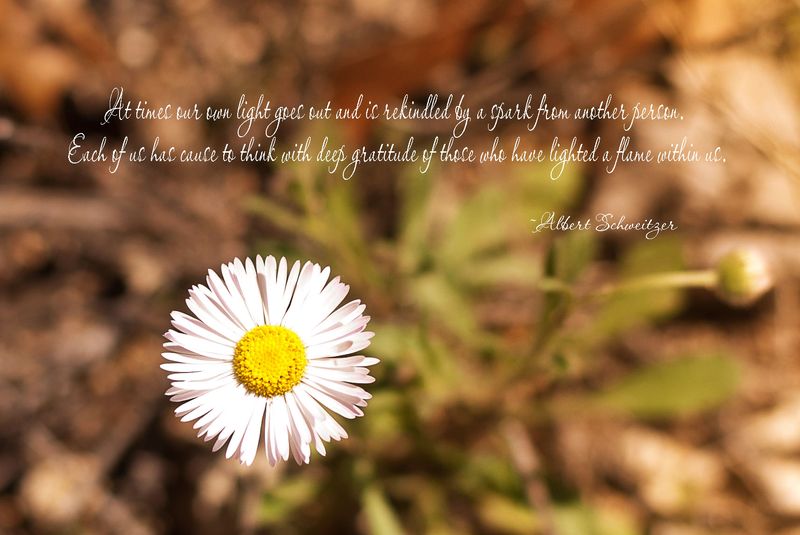 Friendship gratitude