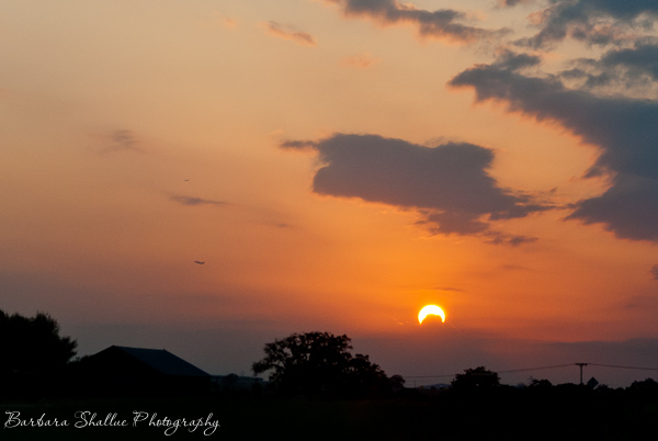 Sunset I 10 10 27 13-0357