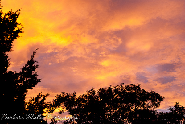 Sunrise nov 8 13-0170