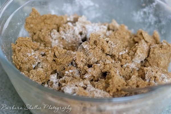 Gingerbread dec 13-0381