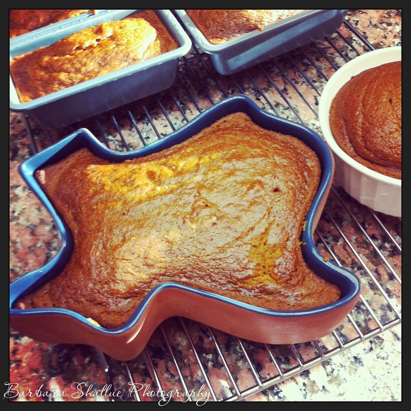 Pumpkin bread-1475