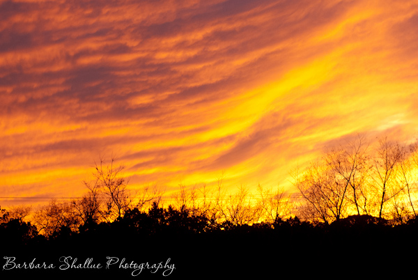Sunset dec 30 2013-0132