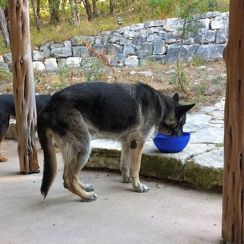 10305174_10203547508241444_5098771692598480078_n