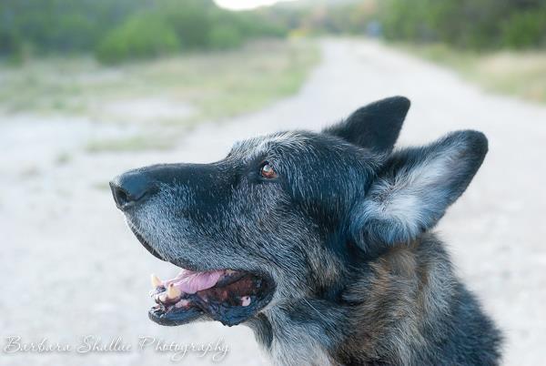 10413348_10203430860125314_6039801032710355066_n