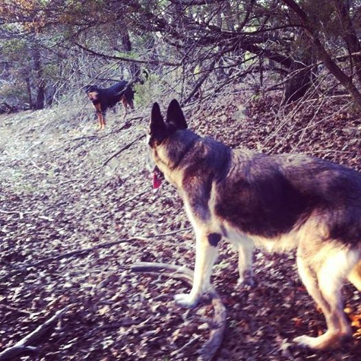 10580057_10203440382603370_8895140398027135708_n