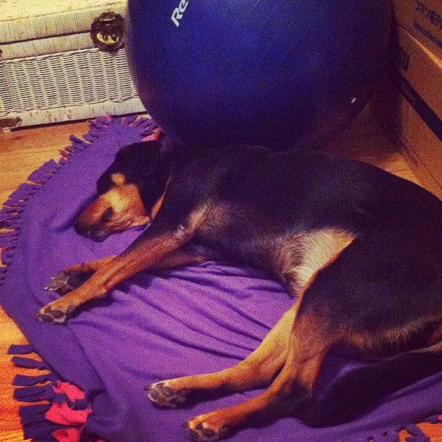 10712722_10204096310721163_6366797834222965045_n