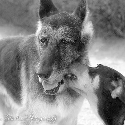 1964904_10203957063720075_8116243711611989681_n