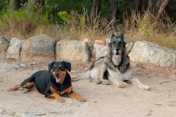 10641174_10203758866085258_6148905955173999780_n