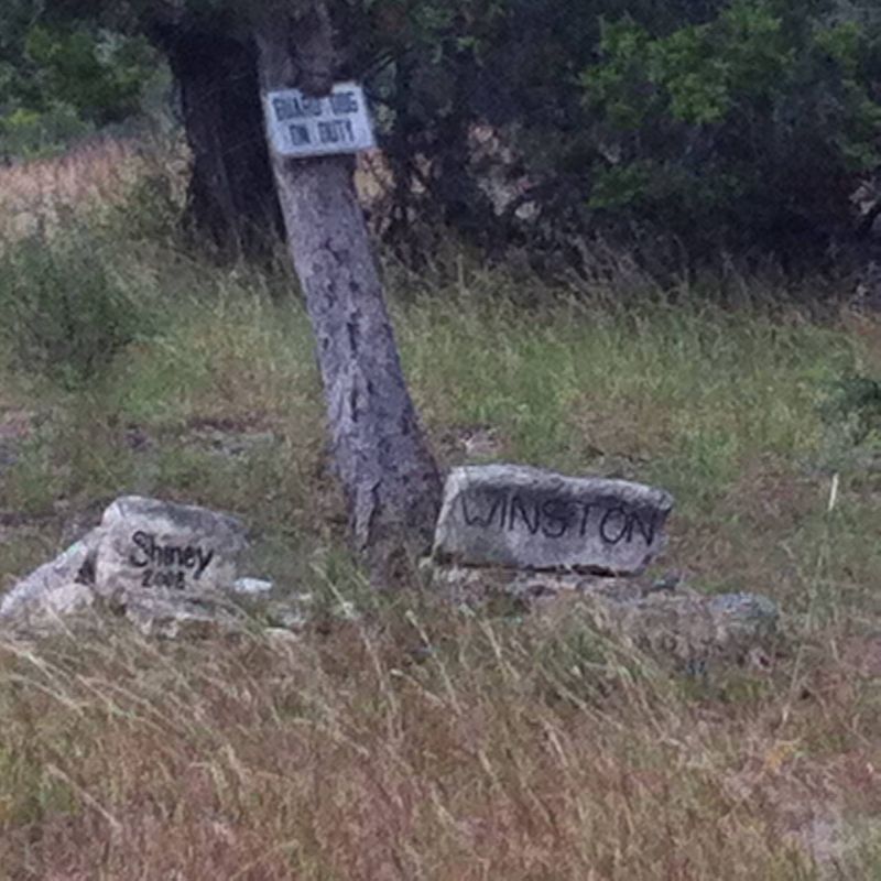 463707_10204143541461902_2003951922701480978_o