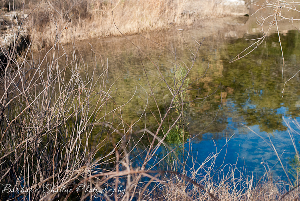 Resize wm Jan 15-0011