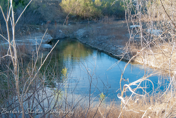 Resize wm Jan 15-0002