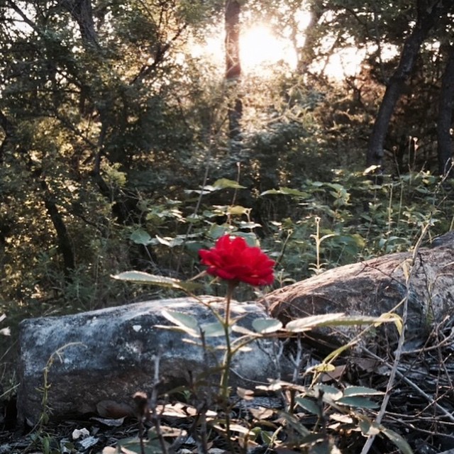 11174997_10205334323990721_5375312677698575510_n