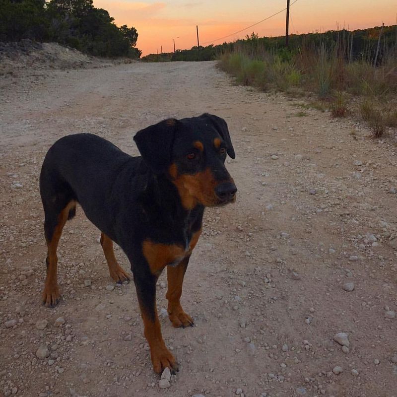 12138497_10206433521509972_4465093647509653864_o