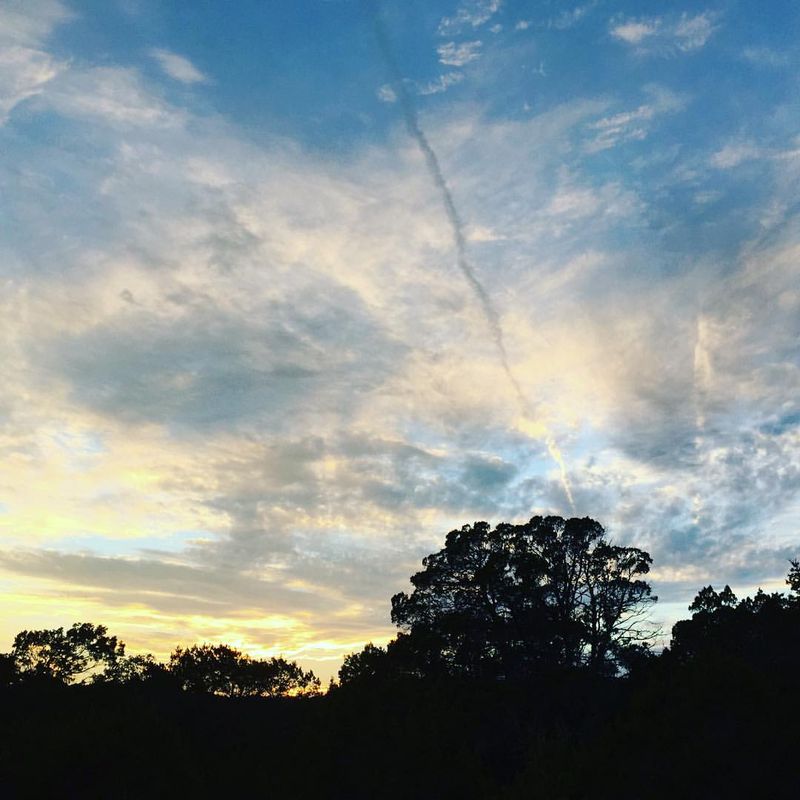 12045407_10206502852563205_3681775027723029137_o