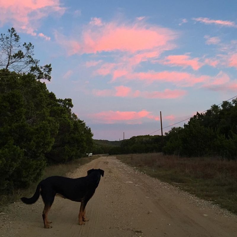 12185566_10206537052818190_506941370482734469_o