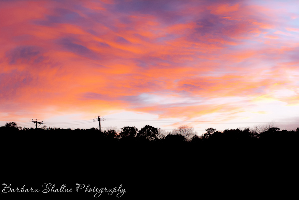 Sunset jan 20 14-0426