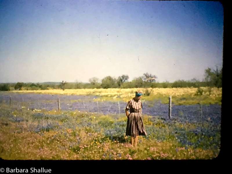 Grandmother and bluebonnets