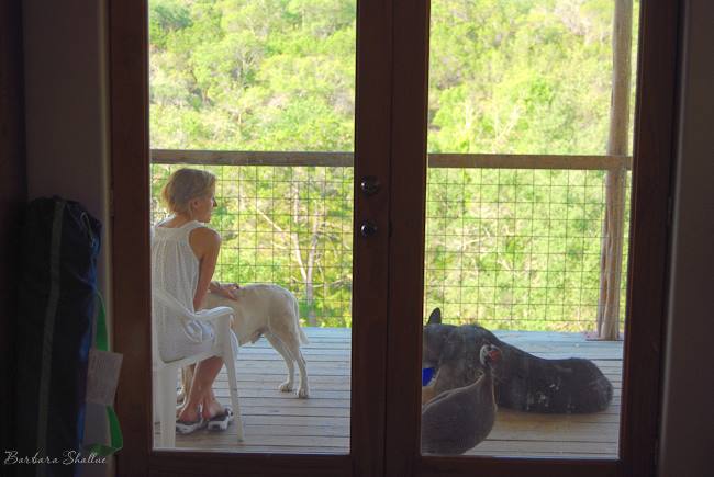 1175044_10201198576439617_1840182995_n