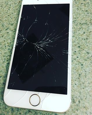 14034889_10208555640481620_6251697744488934436_n