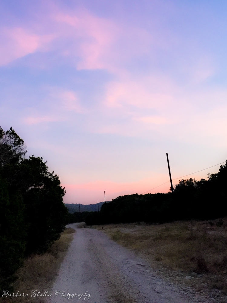 Pink morning aug 2016-6810