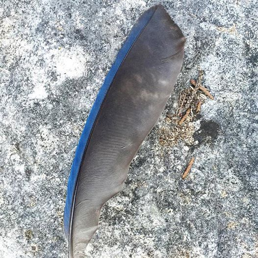 13769458_10208354404650850_2587012817587535196_n