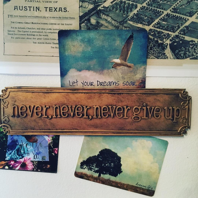 15800064_10209765976059253_610301387926282605_o