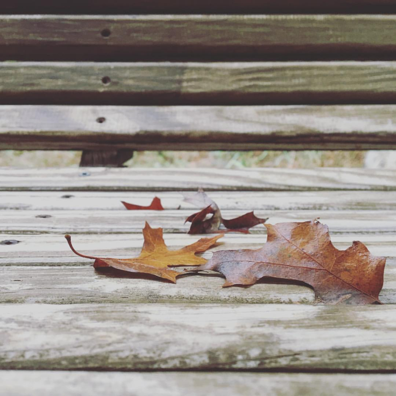 Autumn on porch swing