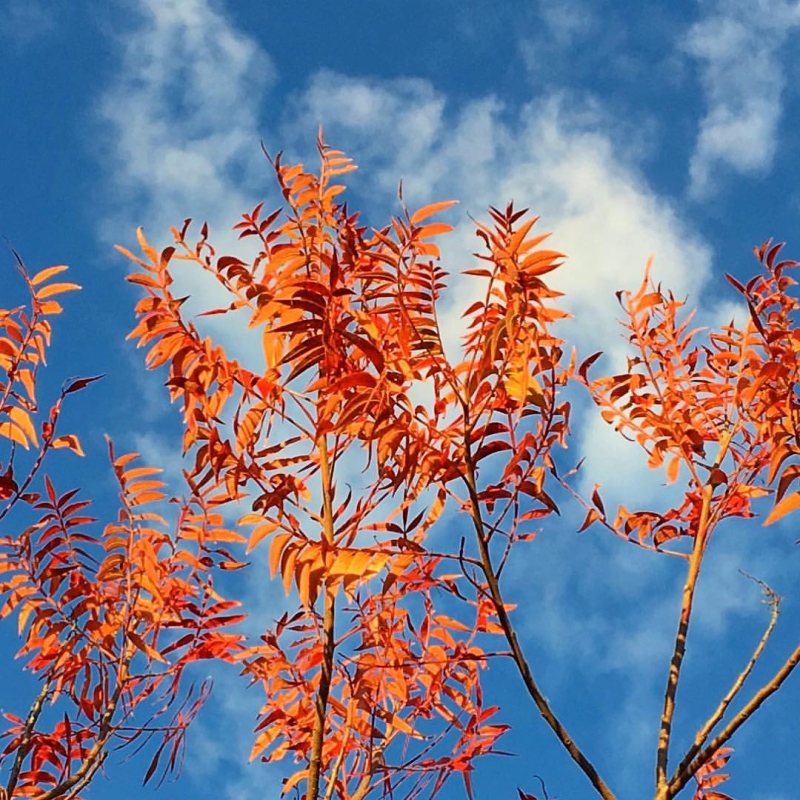 15288453_10209467477996988_3595808606342274437_o