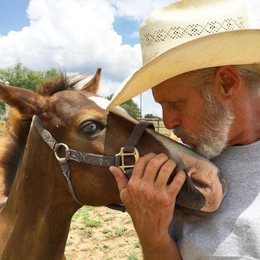 19437795_10211292560702915_8233892043622476683_n