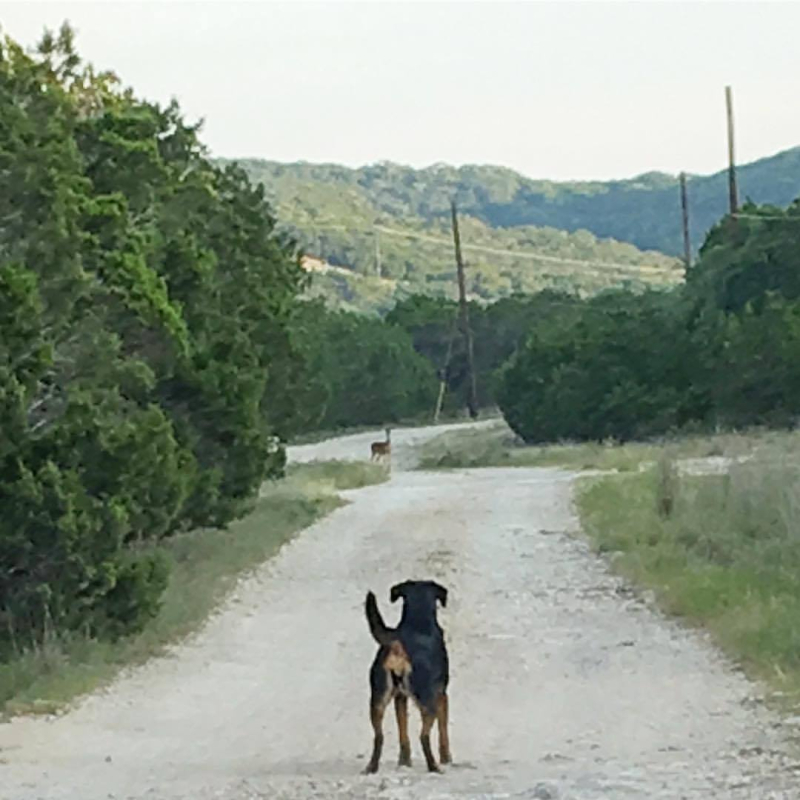 20507339_10211671047484848_5133687721742732583_o