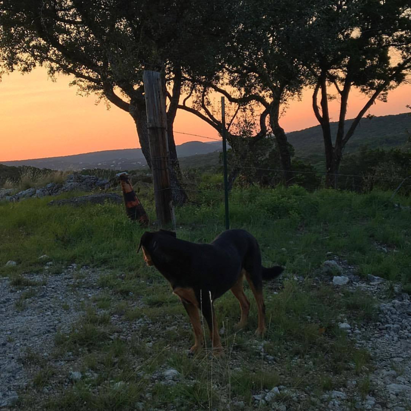 21248421_10211890488570738_8862963660175374970_o