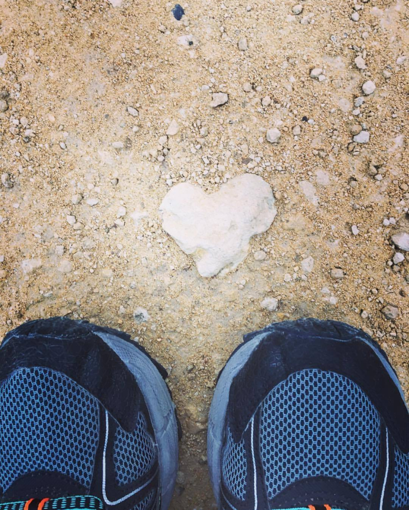 23415342_10212390479870208_1023033011699663755_o