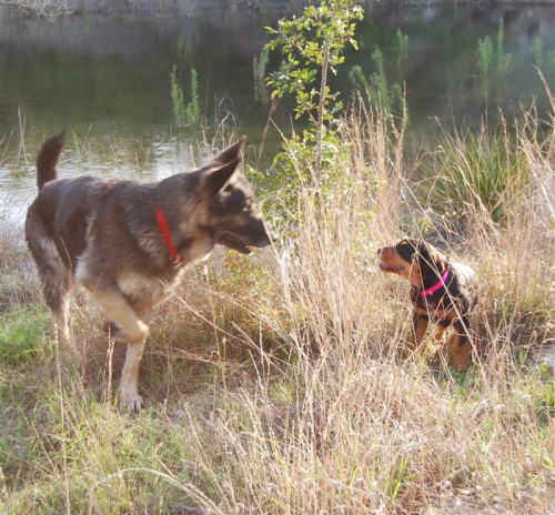 Max and Belle spring 2010