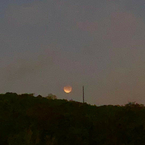 27356407_1801202539892799_8219021358725844311_o