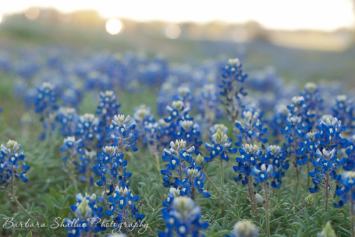 March 29 2014 CP-0065