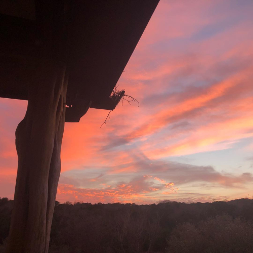 28423520_10213245073394512_8918326290346958097_o