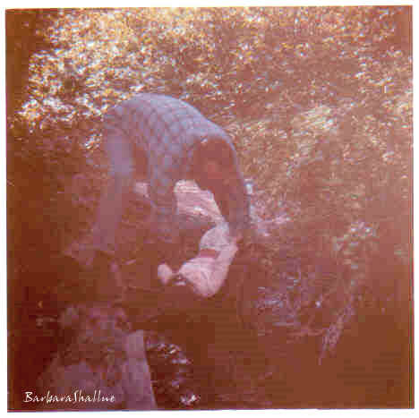 Daddy and me colorado 62s