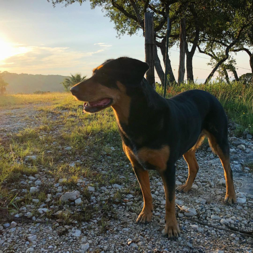 32859129_10213794786777003_1511734342508871680_o