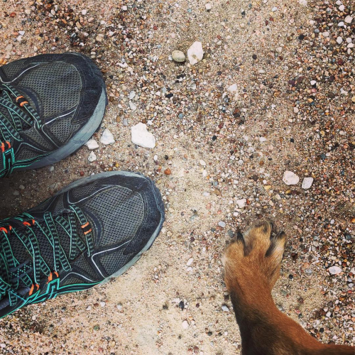 36743276_10214137075574009_7607560530705776640_o