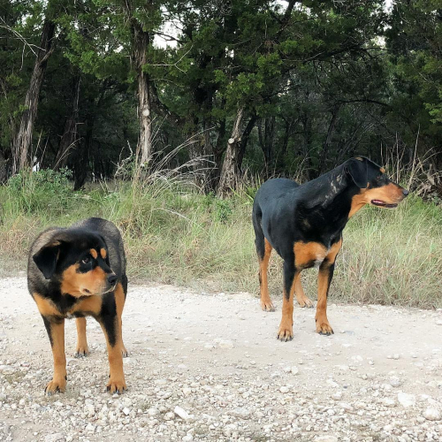 40443718_10214531418832344_8949404740286939136_o